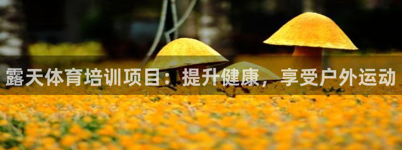 耀世娱乐联 411O31 娱乐：露天体育培训项目：提