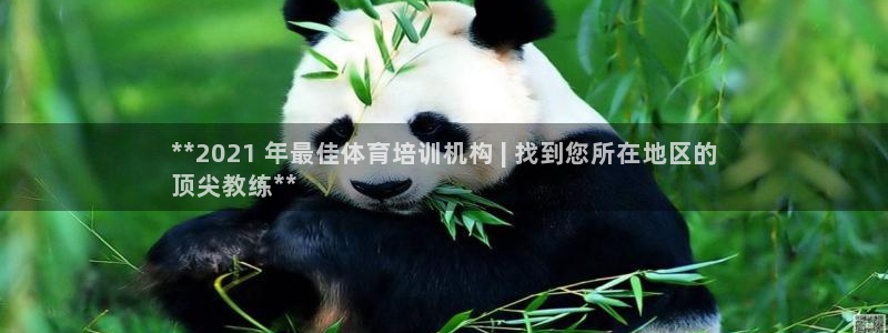 耀世娱乐挂机脚本下载：**2021 年最佳体育培训机