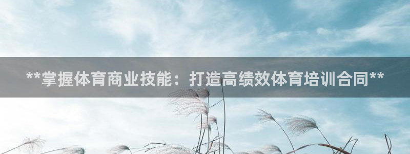 耀世娱乐官网注册流程：**掌握体育商业技能：打造高绩