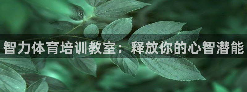 耀世微光mp3下载：智力体育培训教室：释放你的心智潜