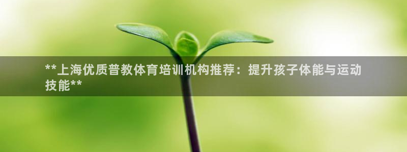 耀世娱乐登陆官网入口：**上海优质普教体育培训机构推