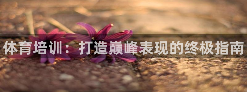 耀世娱乐登录遍333OO：体育培训：打造巅峰表现的终