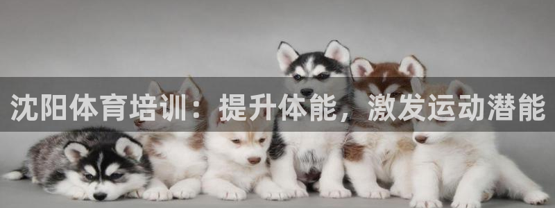 耀世集团罗文斌：沈阳体育培训：提升体能，激发运动潜能