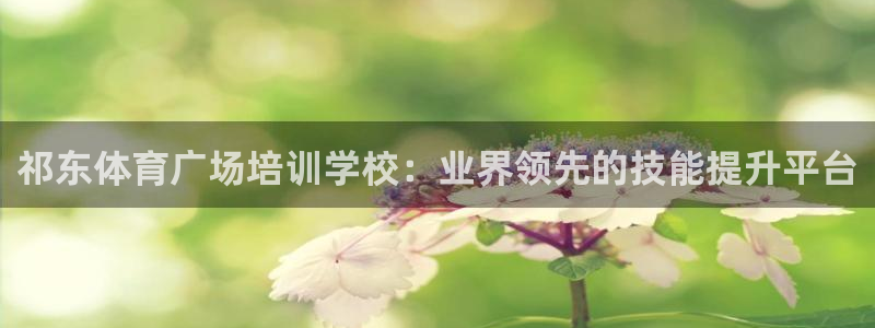 耀世娱乐平台官网登录不了：祁东体育广场培训学校：业界