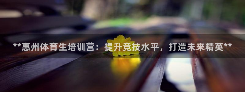 耀世平台代理多少钱：**惠州体育生培训营：提升竞技水