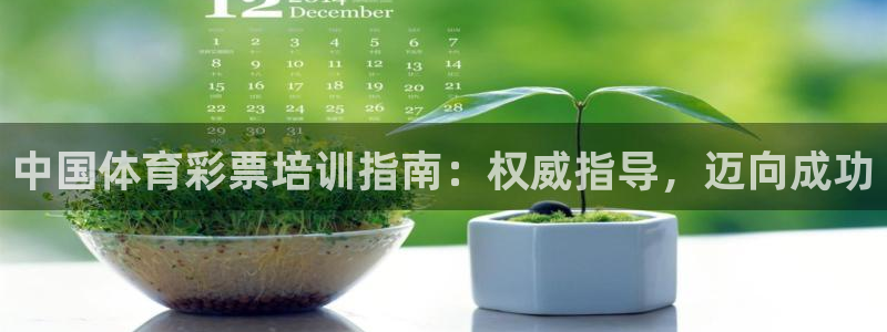 耀世影视：中国体育彩票培训指南：权威指导，迈向成功