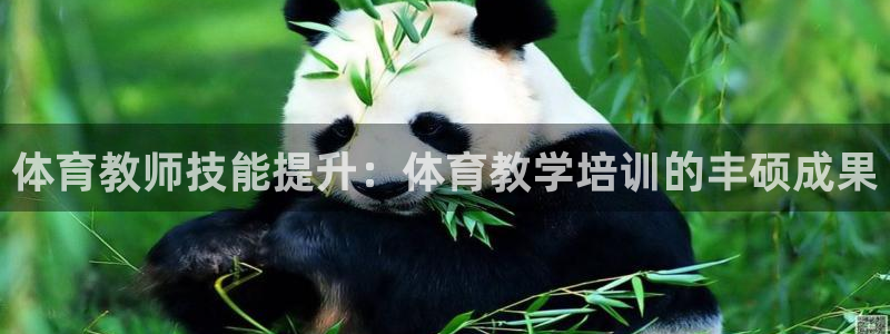 耀世娱乐好不好做：体育教师技能提升：体育教学培训的丰