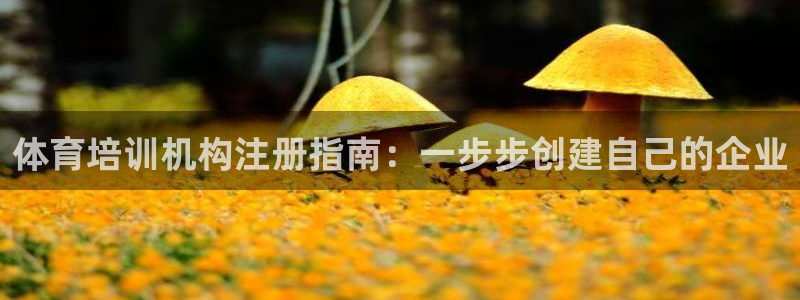 耀世平台式7O777：体育培训机构注册指南：一步步创