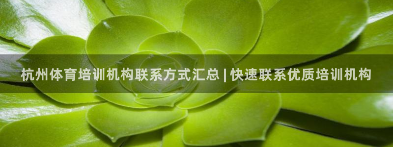 耀世娱乐能不能提现到支付宝：杭州体育培训机构联系方式