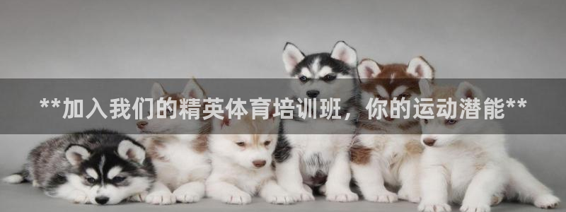 耀世官网入口：**加入我们的精英体育培训班，你的运动
