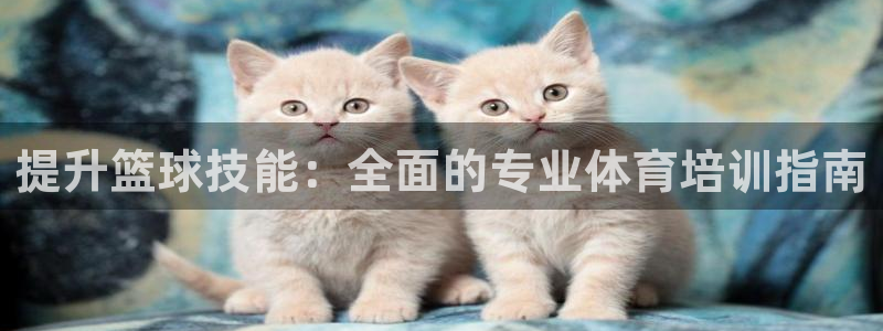 耀世娱乐怎么样：提升篮球技能：全面的专业体育培训指南