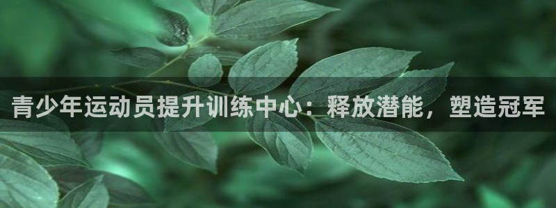 耀世盛典手游下载安装：青少年运动员提升训练中心：释放