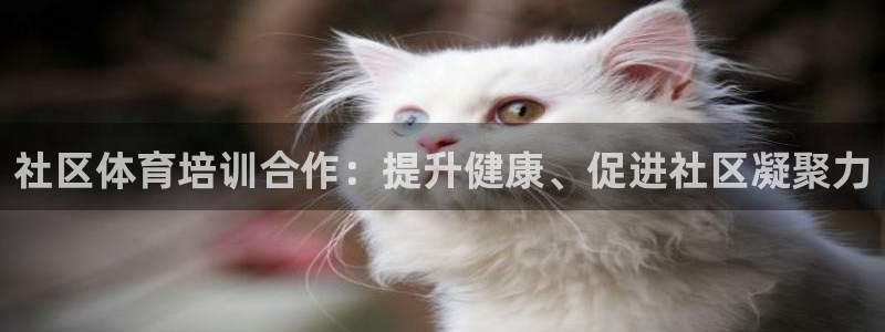 耀世平台必7O777：社区体育培训合作：提升健康、促