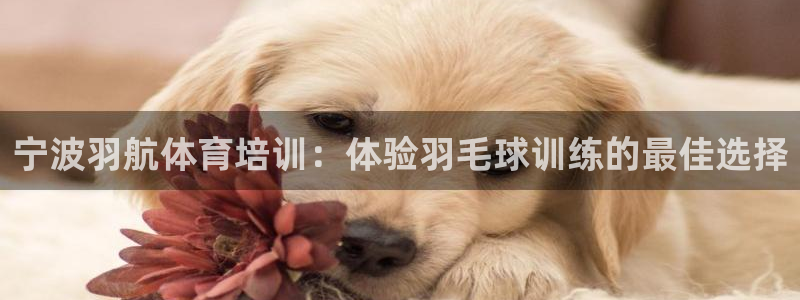 耀世成语：宁波羽航体育培训：体验羽毛球训练的最佳选择