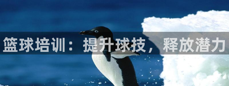 耀世娱乐佳 411O31 耀世：篮球培训：提升球技，