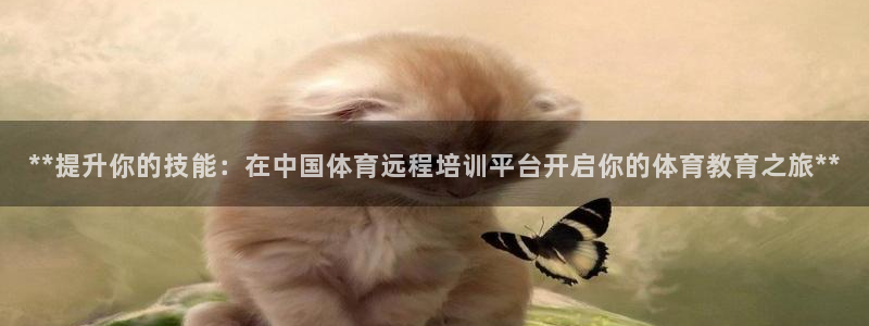耀世平台主管代理：**提升你的技能：在中国体育远程培