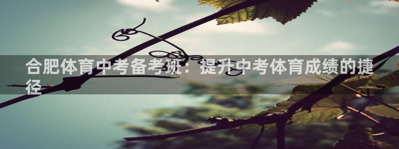 耀世平台代理多少钱一个月：合肥体育中考备考班：提升中