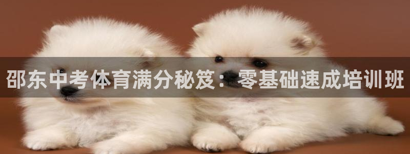 耀世油烟机价格及图片：邵东中考体育满分秘笈：零基础速