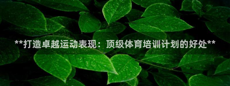 耀世娱乐圈主管：**打造卓越运动表现：顶级体育培训计