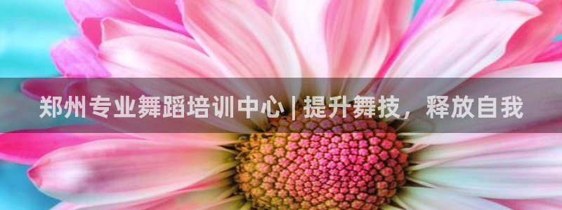 耀世娱乐能提现：郑州专业舞蹈培训中心 | 提升舞技，
