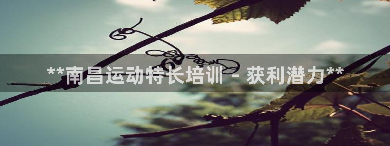 耀世娱乐挂机事件详情：**南昌运动特长培训 – 获利