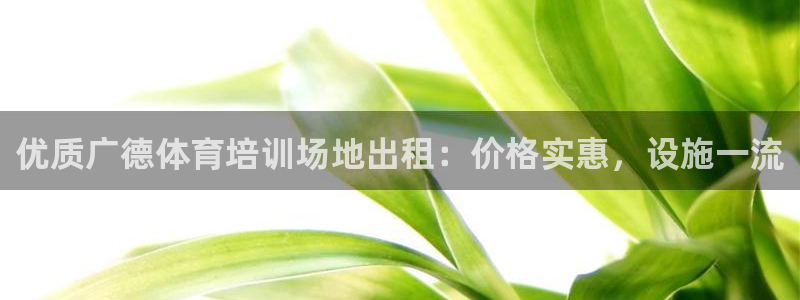 耀世首开什么意思：优质广德体育培训场地出租：价格实惠