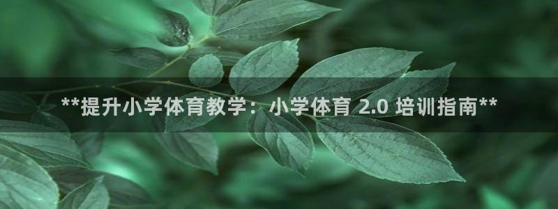 耀世娱乐注册账号：**提升小学体育教学：小学体育 2