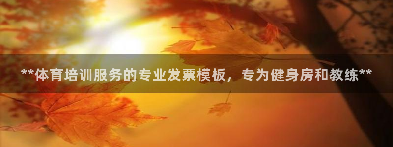 耀世集团的创始人是谁：**体育培训服务的专业发票模板