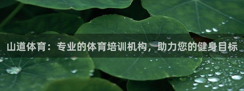 耀世平台app下载官网：山道体育：专业的体育培训机构