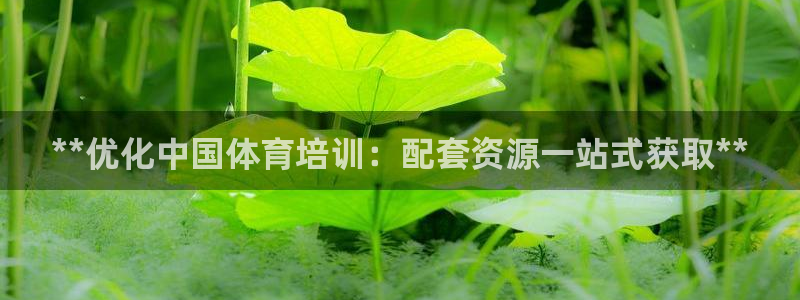 耀世第二关：**优化中国体育培训：配套资源一站式获取