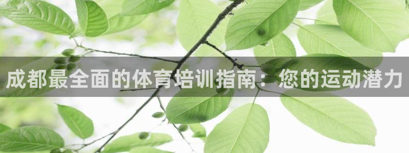 耀世娱乐赢咖6代理：成都最全面的体育培训指南：您的运