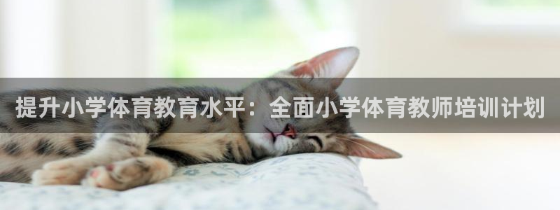 耀世娱乐百科：提升小学体育教育水平：全面小学体育教师