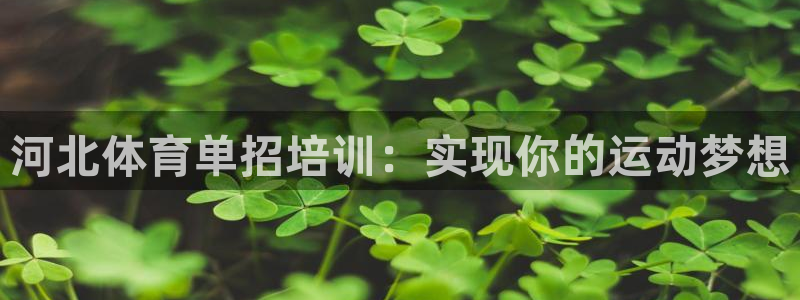 耀世娱乐登陆官网网址：河北体育单招培训：实现你的运动