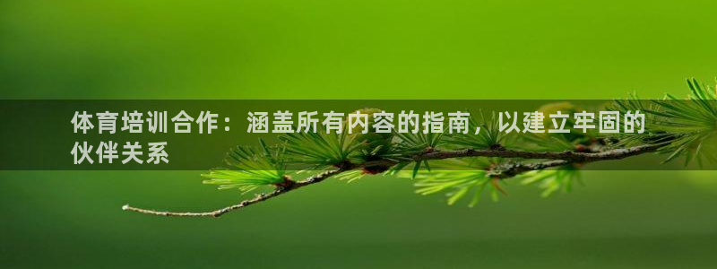 耀世国际集团：体育培训合作：涵盖所有内容的指南，以建