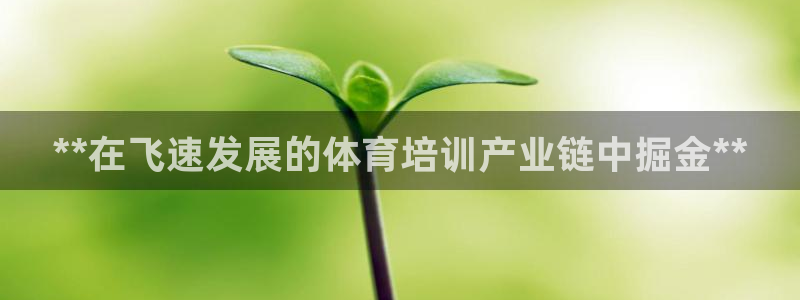 耀世娱乐平台主管：**在飞速发展的体育培训产业链中掘