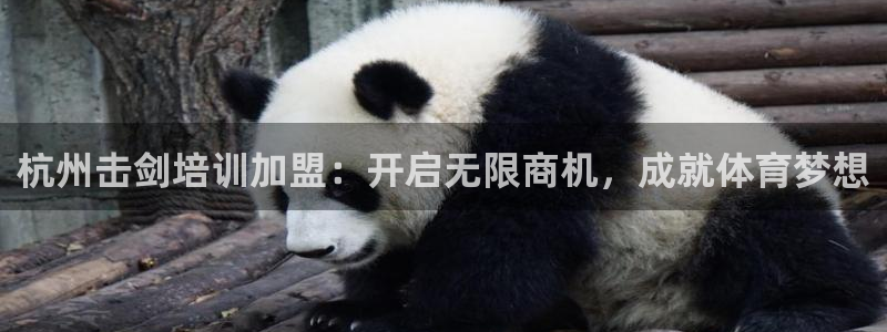耀世娱乐代理什么待遇：杭州击剑培训加盟：开启无限商机