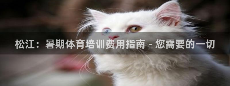 耀世平台开户流程是什么：松江：暑期体育培训费用指南 