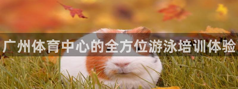 耀世娱乐app下载