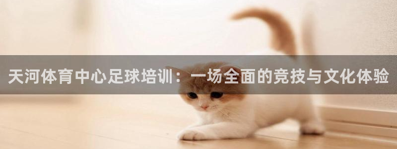 耀世油烟机价格及图片