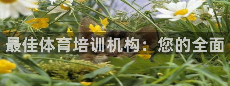 耀世传媒好吗