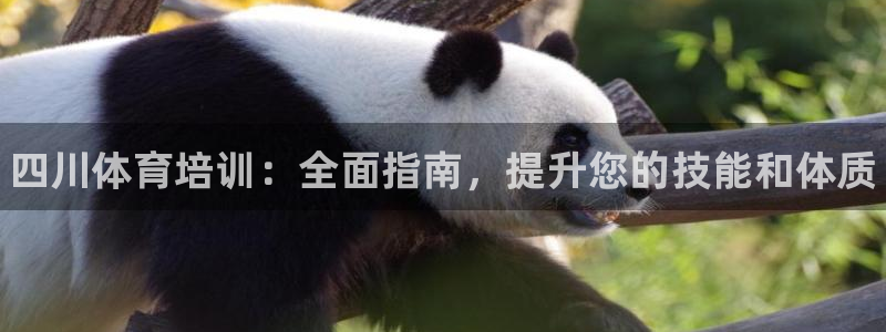 耀世平台注册登录：四川体育培训：全面指南，提升您的技能和体质