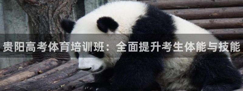 耀世娱乐如何登录账号