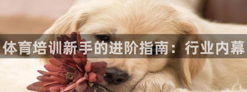 耀世娱乐注册官网：体育培训新手的进阶指南：行业内幕