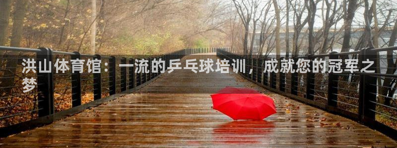 耀世登场的图片：洪山体育馆：一流的乒乓球培训，成就您