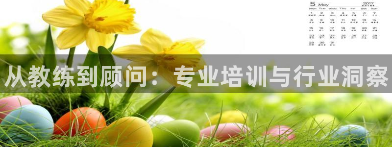 耀世开业是什么意思：从教练到顾问：专业培训与行业洞察