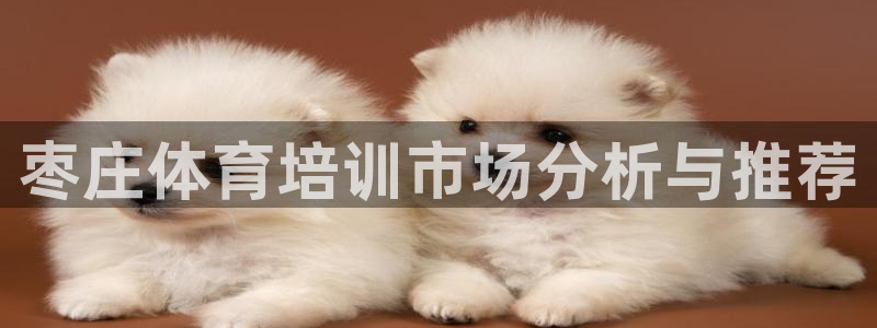 耀世娱乐的4.9.4.0.3 天乐：枣庄体育培训市场