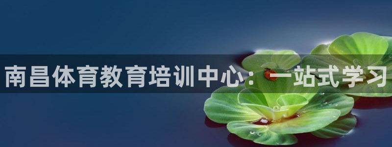 耀世集团视频介绍大全：南昌体育教育培训中心：一站式学