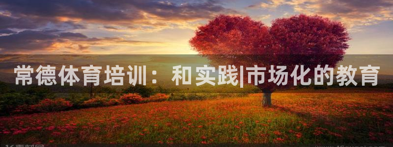 耀世集团：常德体育培训：和实践|市场化的教育