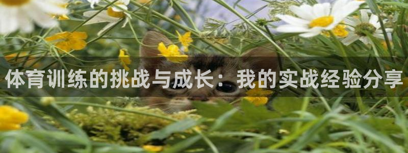 耀世娱乐怎么样：体育训练的挑战与成长：我的实战经验分享