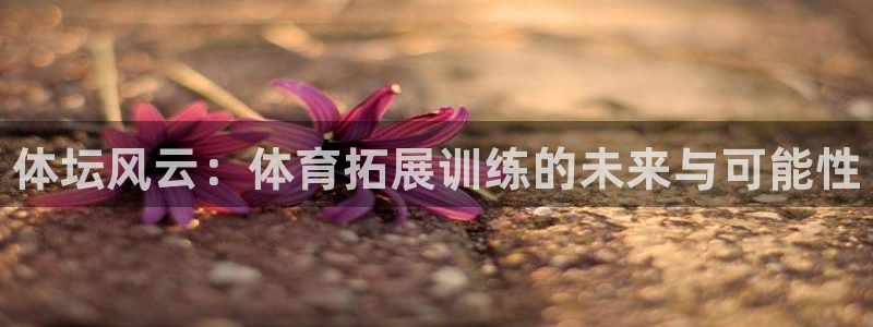 耀世集团王大聪图片：体坛风云：体育拓展训练的未来与可